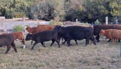 Lote 143