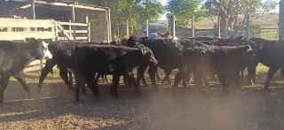 Lote 140