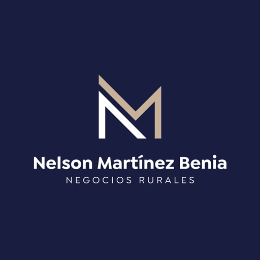 Nelson Martínez Benia