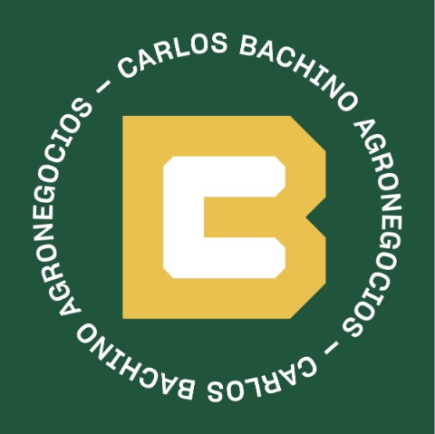 Carlos Bachino
