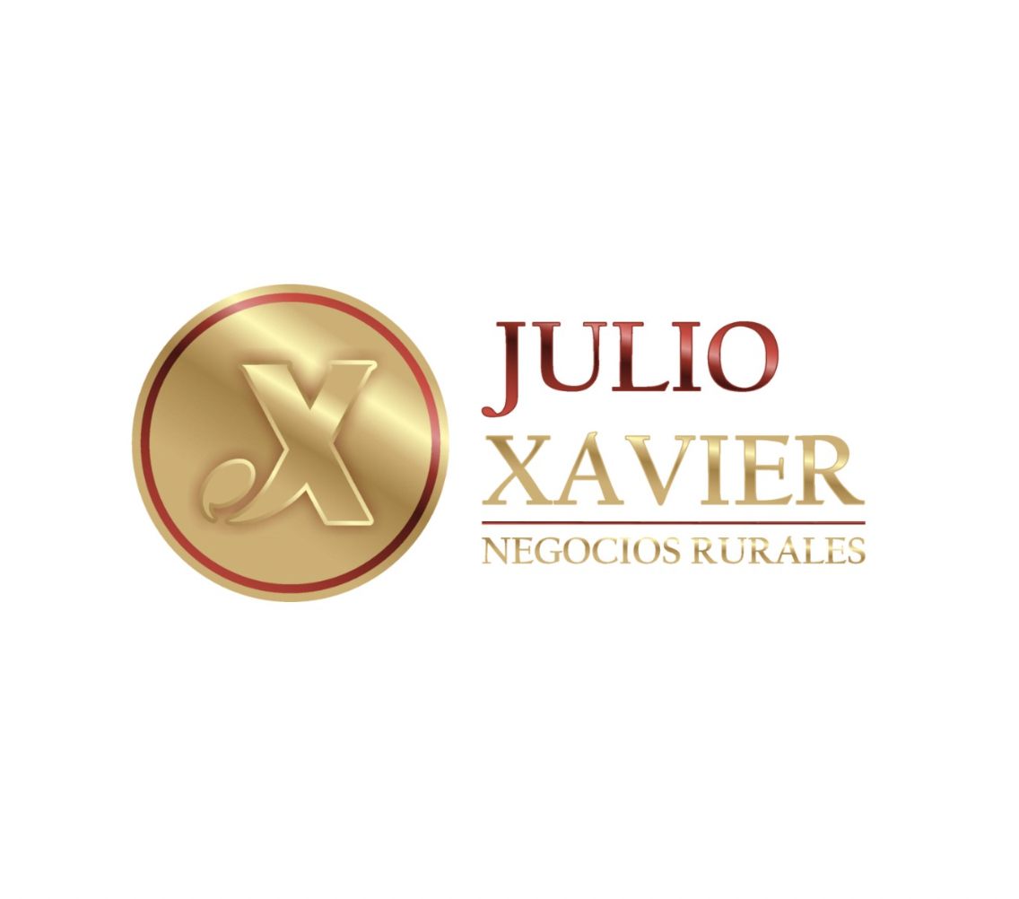 Julio C. Xavier